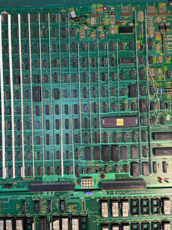 Placa de  Peter Pack Rat Super Video - SEGA Sonic